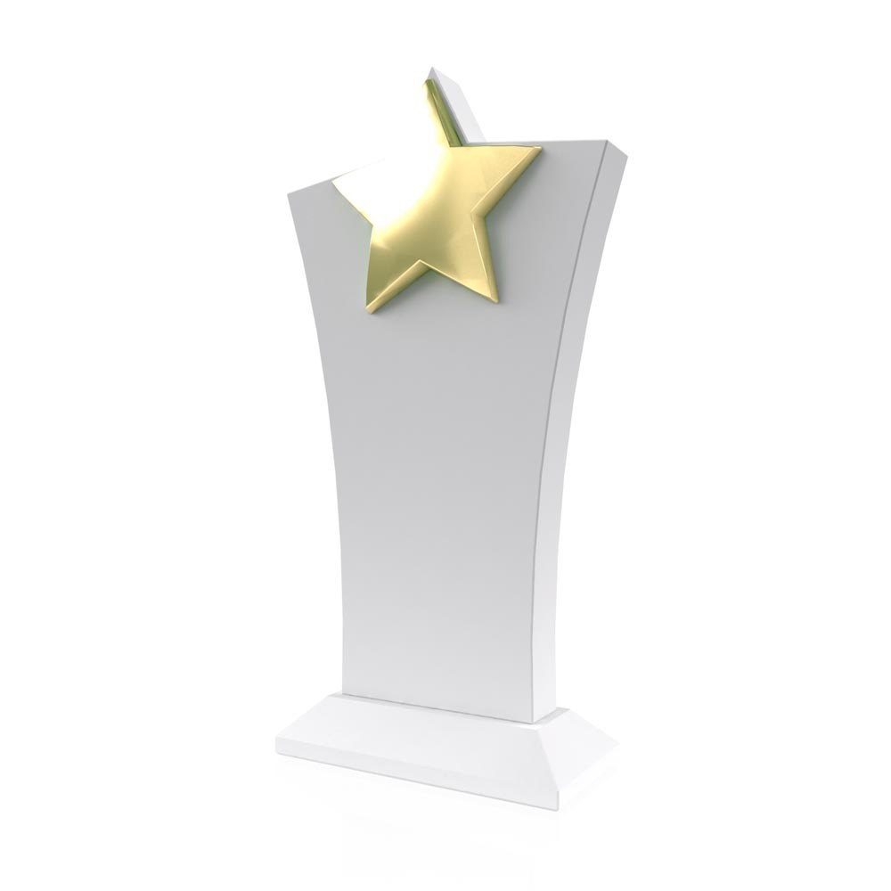 AP 104 Wooden Award