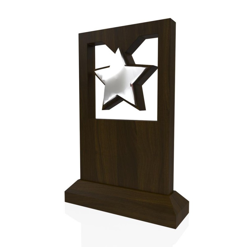 AP 105 Wooden Award