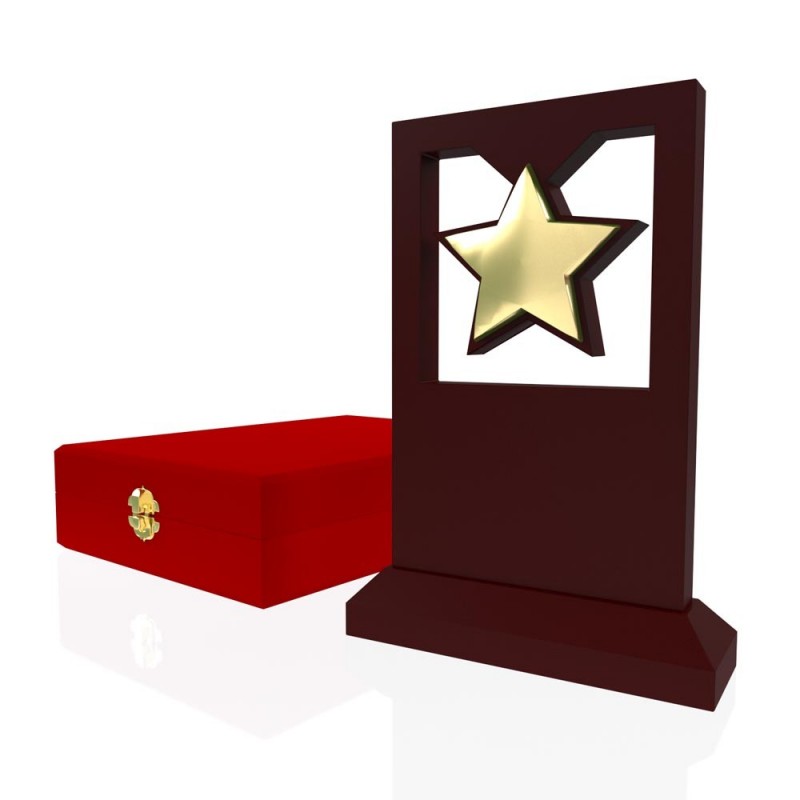 AP 105 Wooden Award