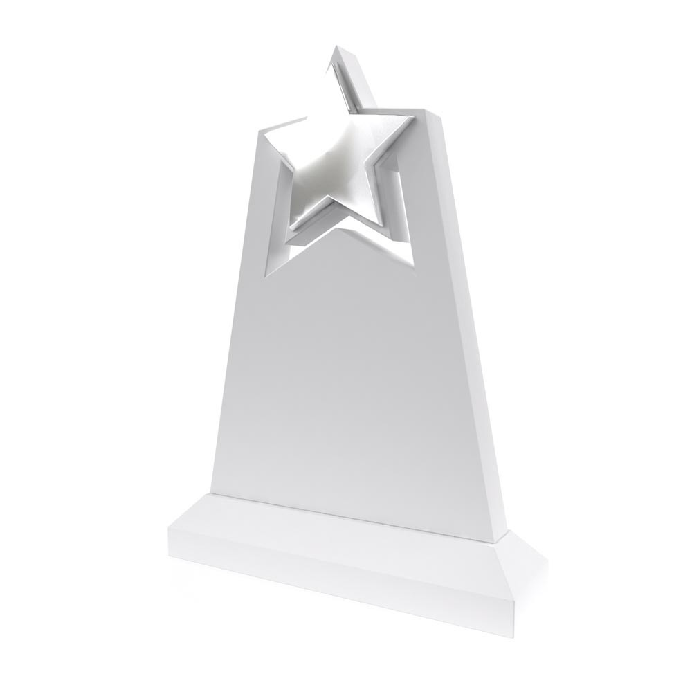 AP 106 Wooden Award
