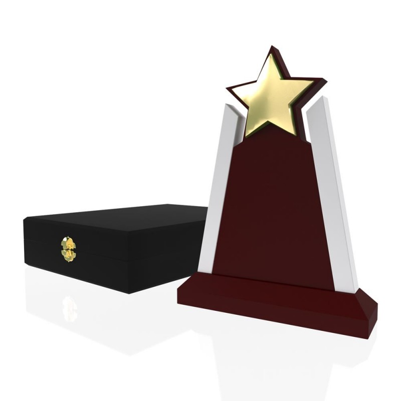 AP 107 Wooden Award