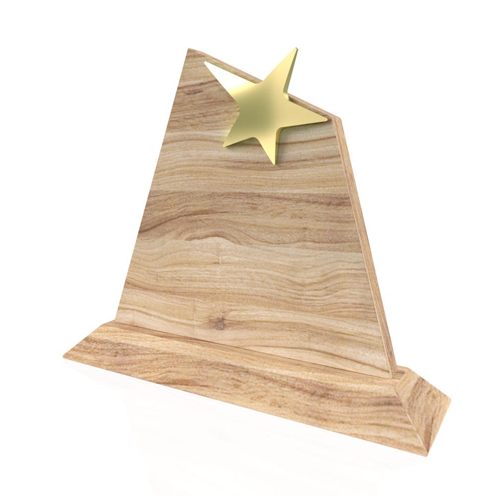 AP 108 Wooden Award