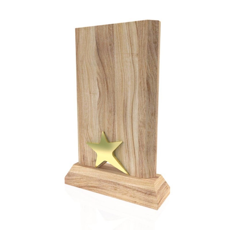 AP 113 Wooden Award