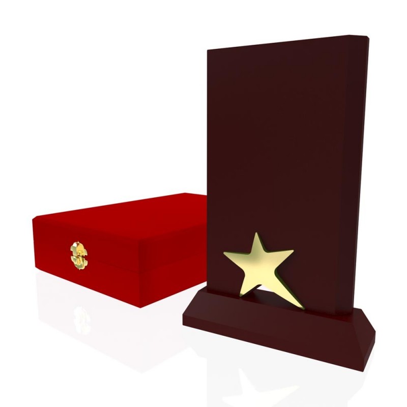 AP 113 Wooden Award