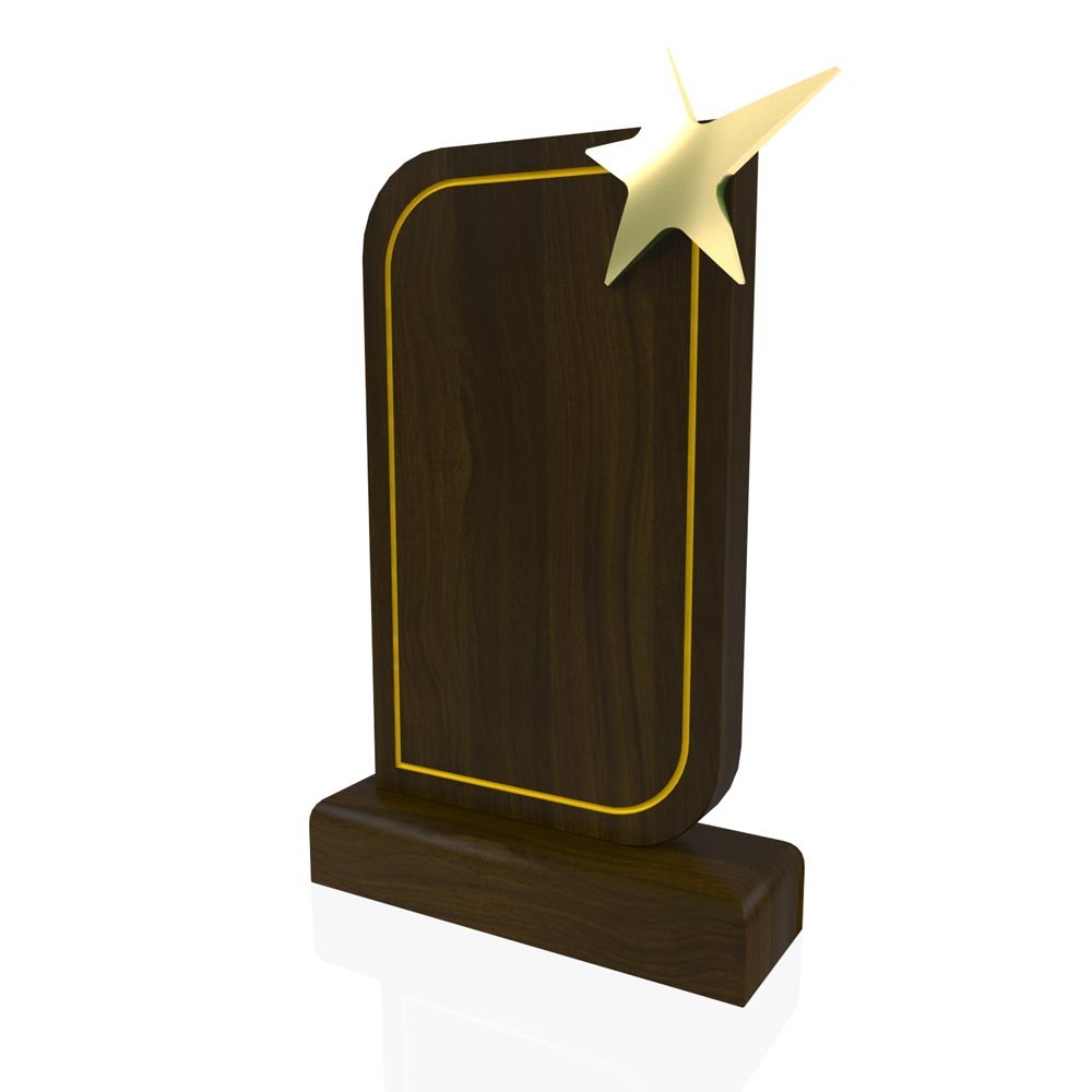 AP 114 Wooden Award