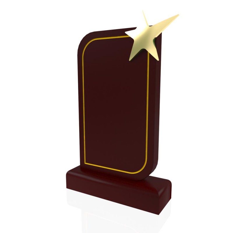 AP 114 Wooden Award