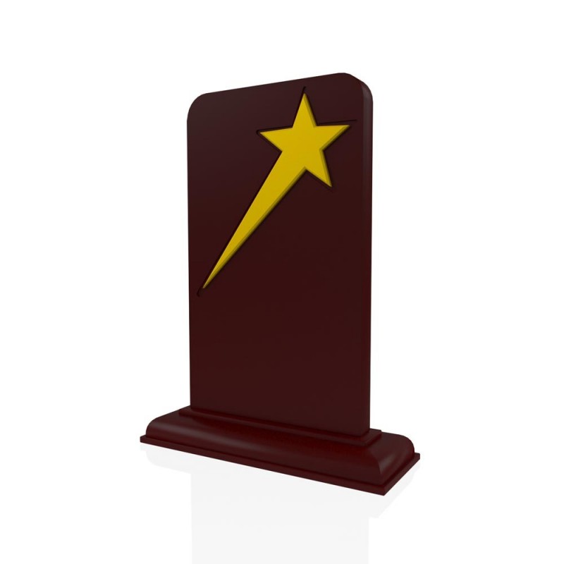 AP 126 Wooden Award