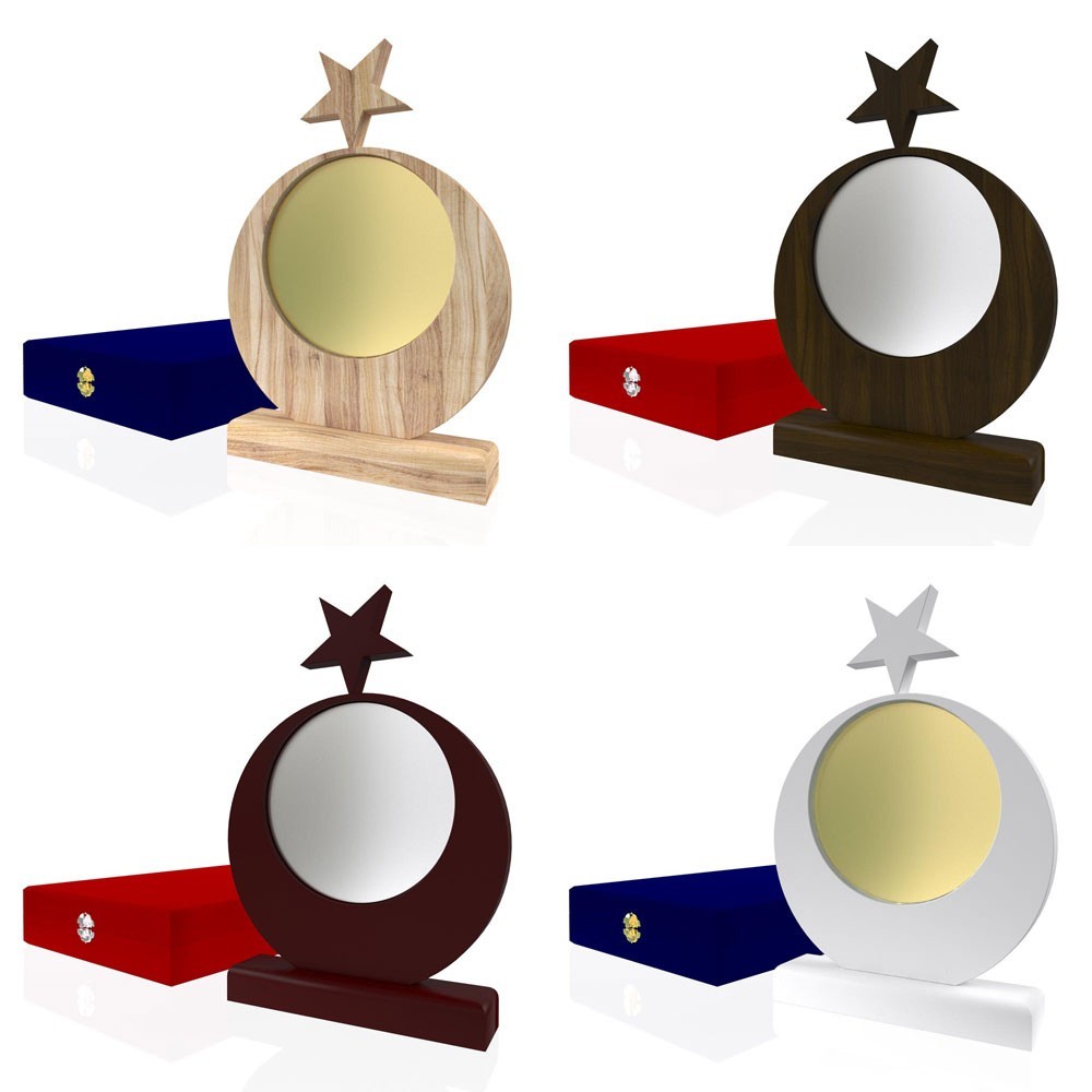 AP 129 Wooden Award 2