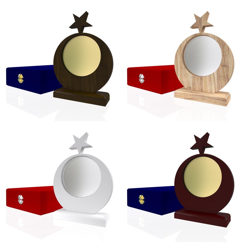AP 128 Wooden Award 2