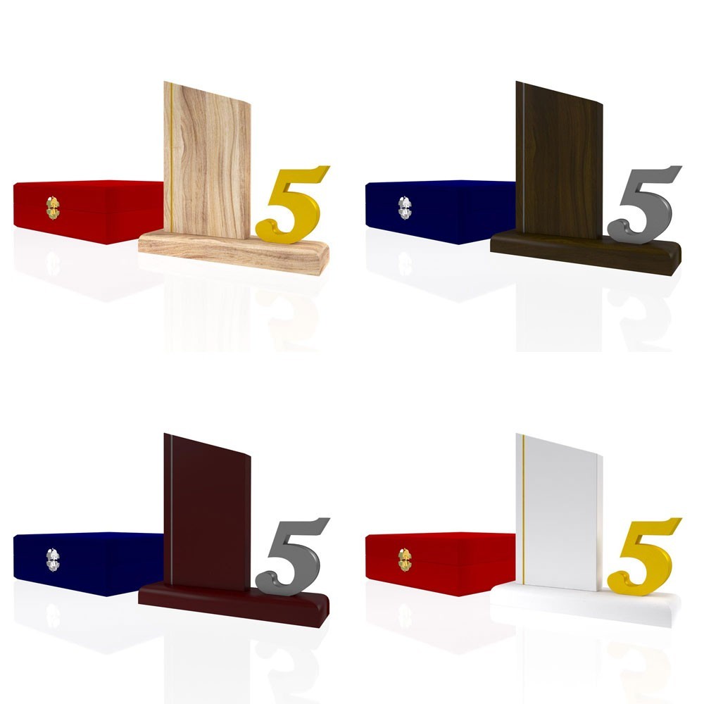 AP 127 Wooden Award 2