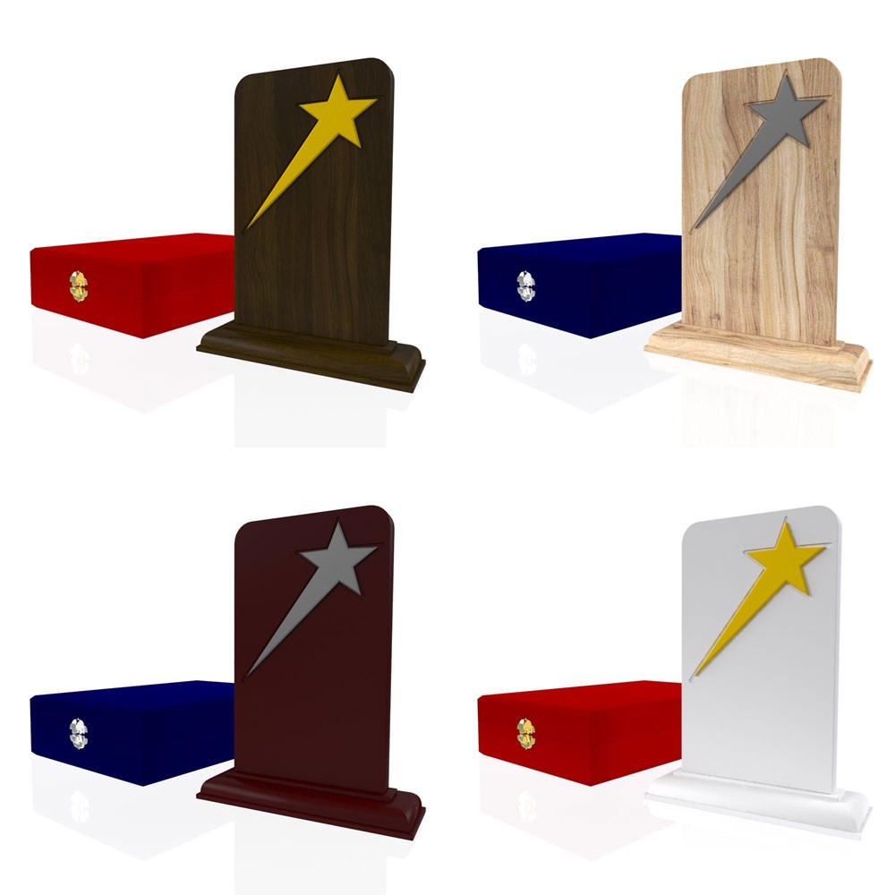 AP 126 Wooden Award 2