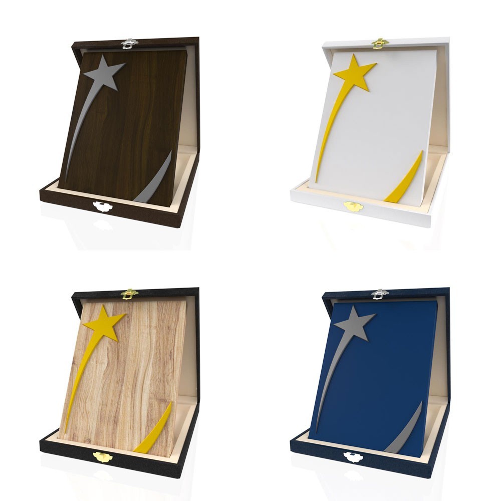 AP 116 Wooden Award 2