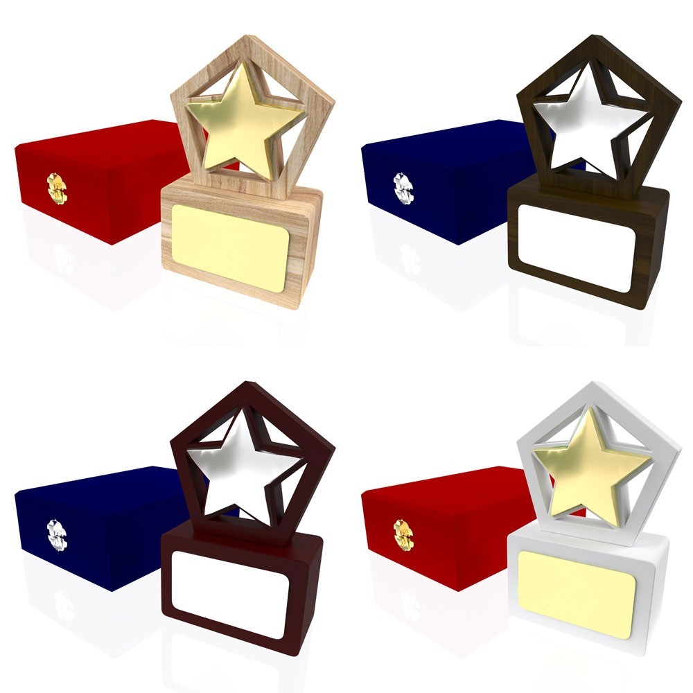 AP 115 Wooden Award 2