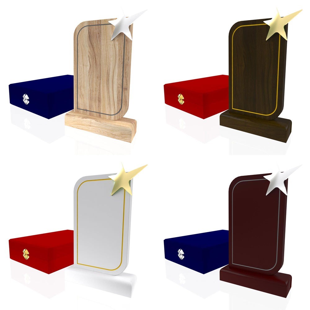 AP 114 Wooden Award 2