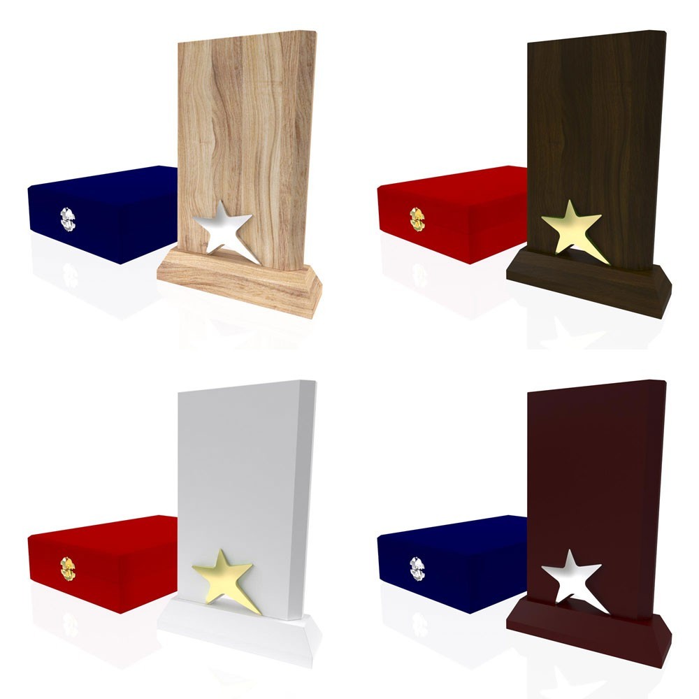 AP 113 Wooden Award 2