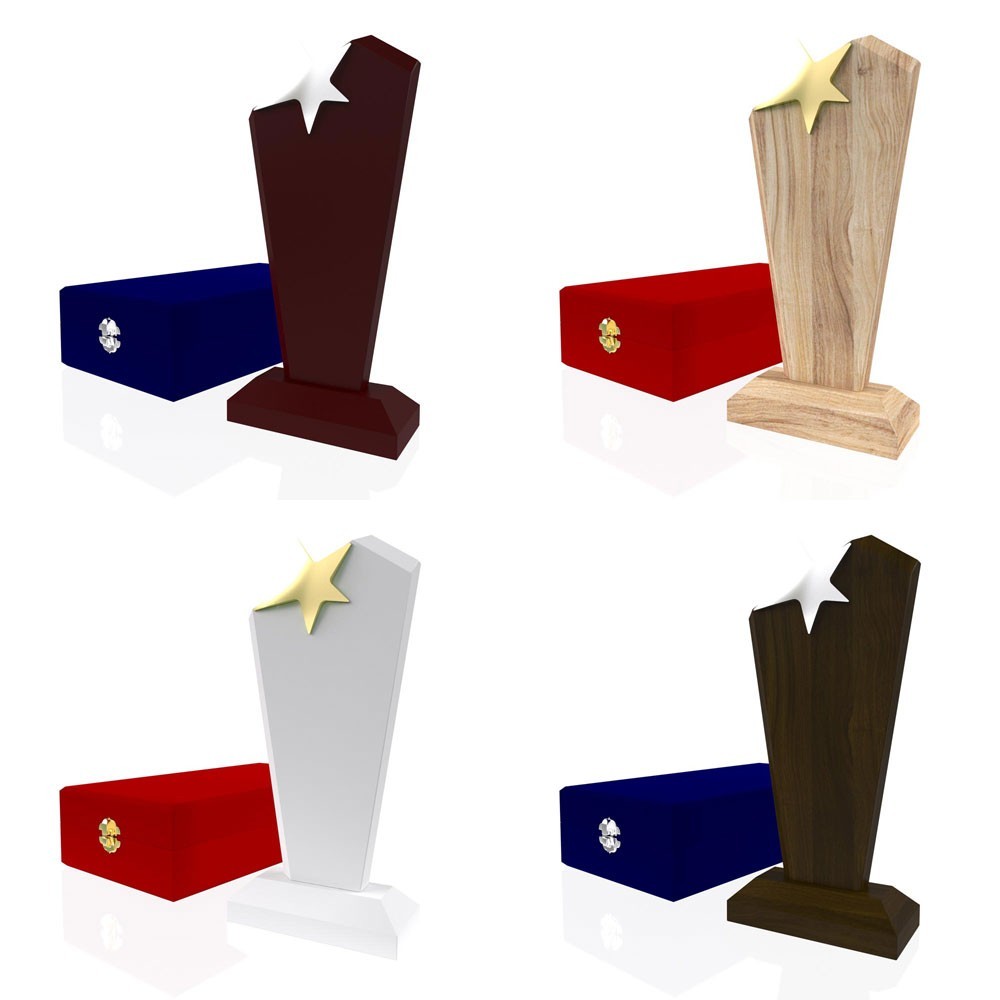 AP 112 Wooden Award 2