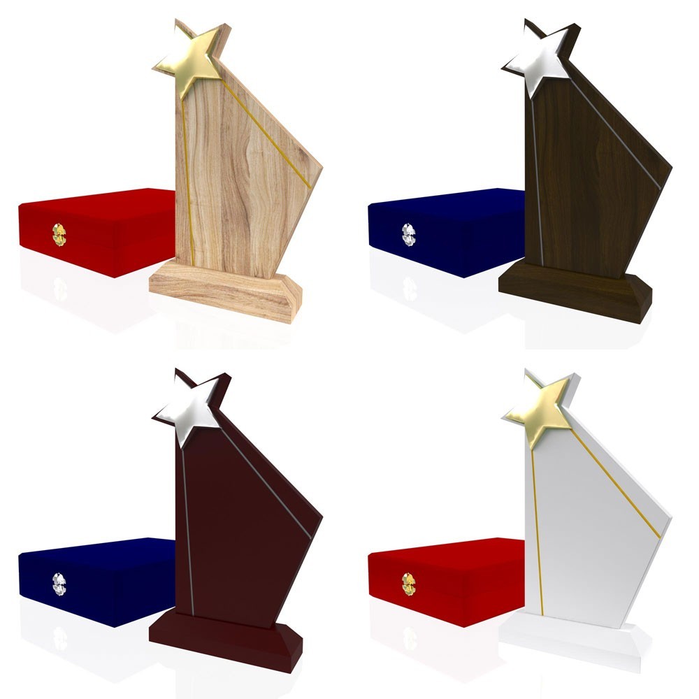 AP 111 Wooden Award 2