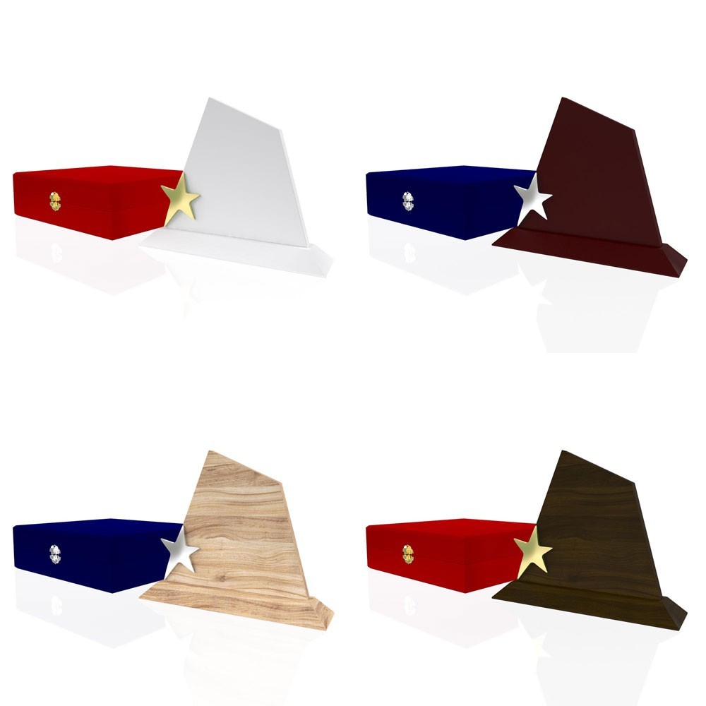 AP 109 Wooden Award 2