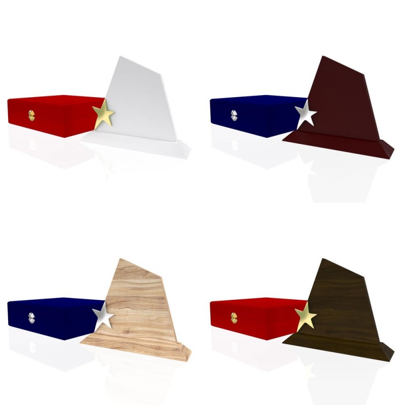 AP 109 Wooden Award