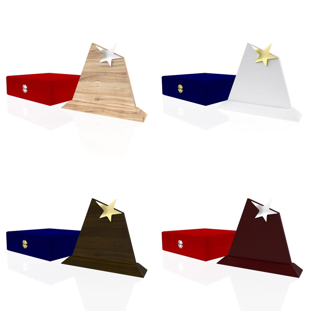 AP 108 Wooden Award 2