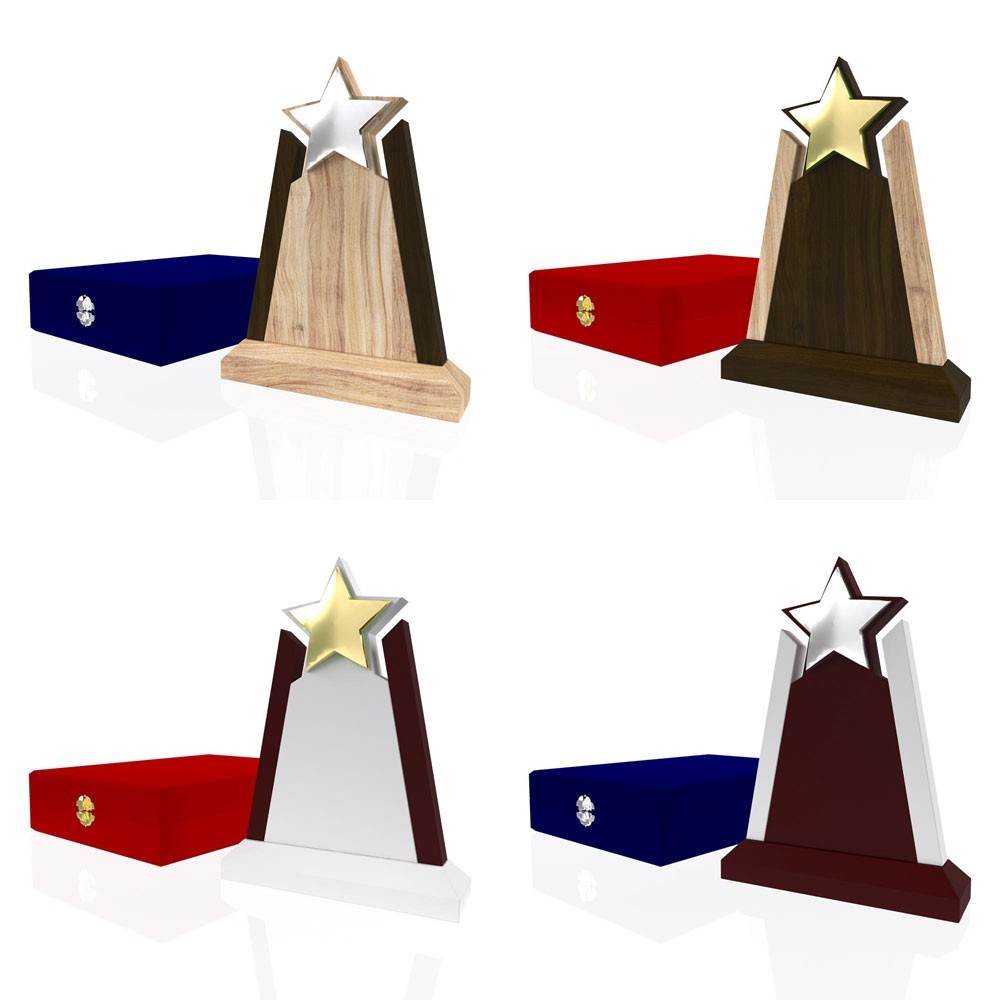 AP 107 Wooden Award 2