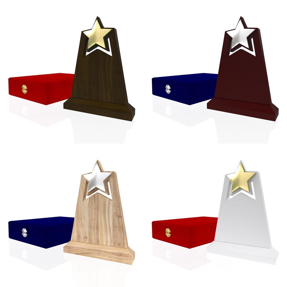 AP 106 Wooden Award 2