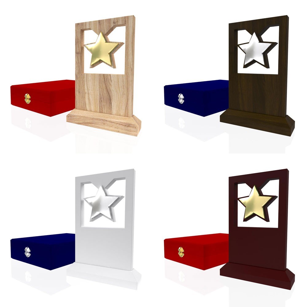 AP 105 Wooden Award 2