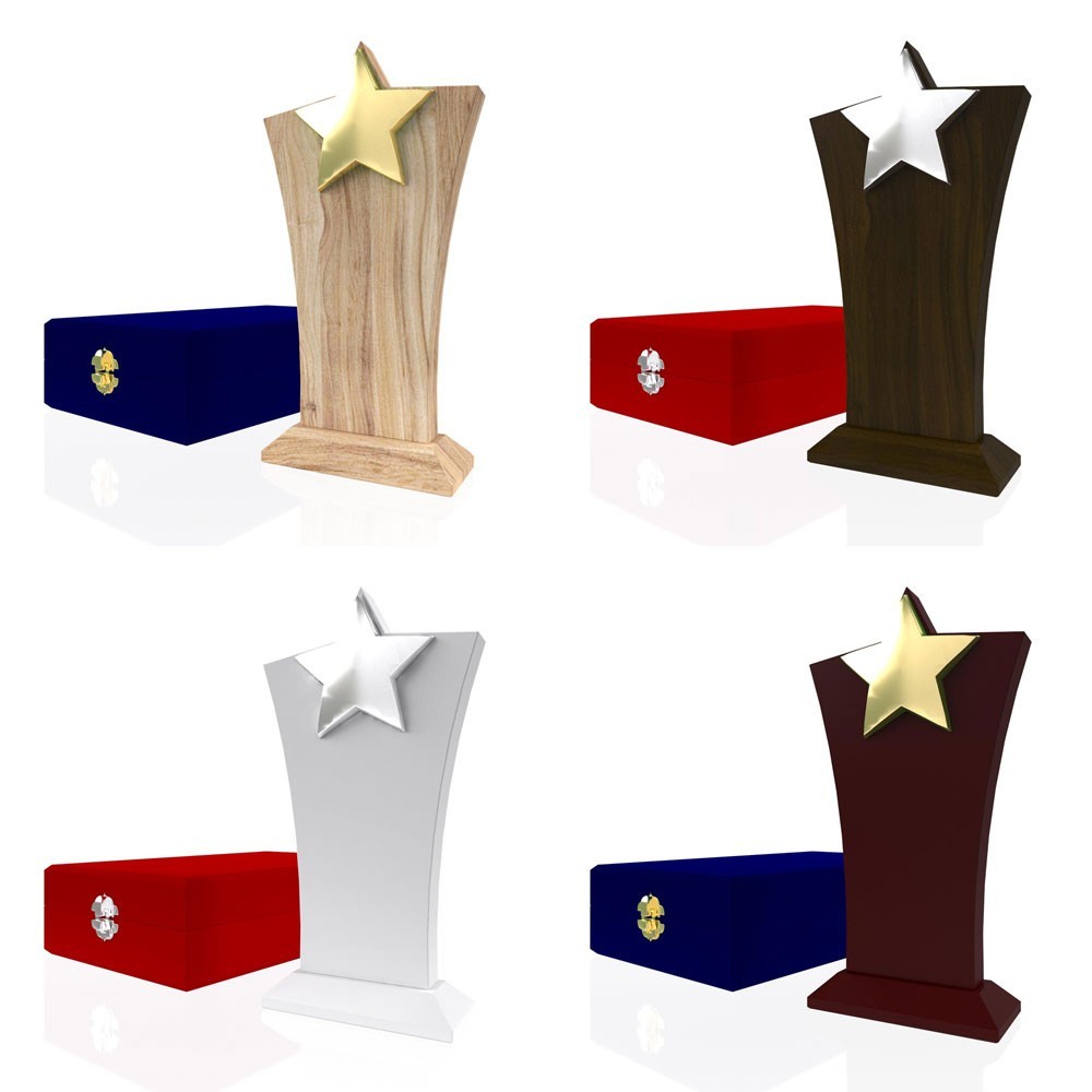 AP 104 Wooden Award 2
