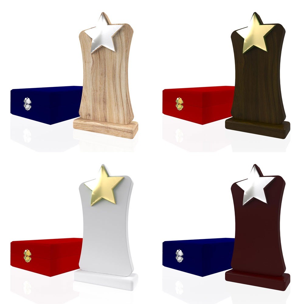 Wooden Award 2