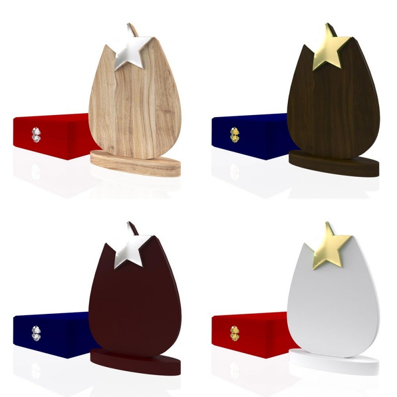 AP 101 Wooden Award