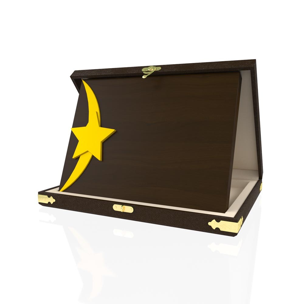 YP 101 Star Plaque