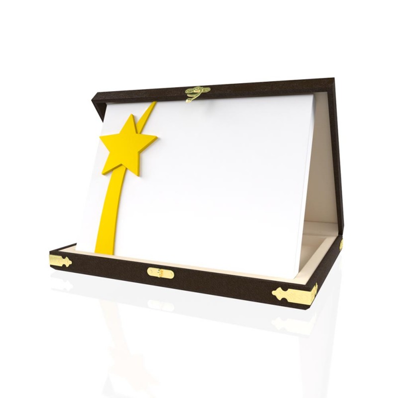 YP 103 Star Plaque