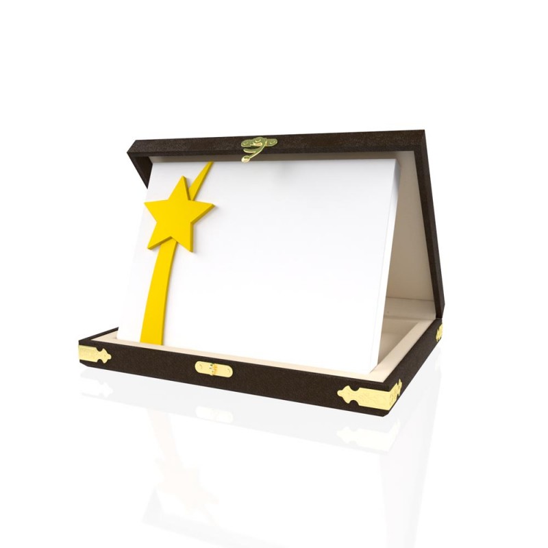 YP 111 Star Plaque