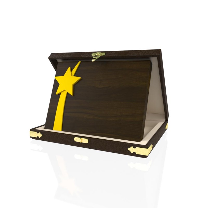 YP 111 Star Plaque