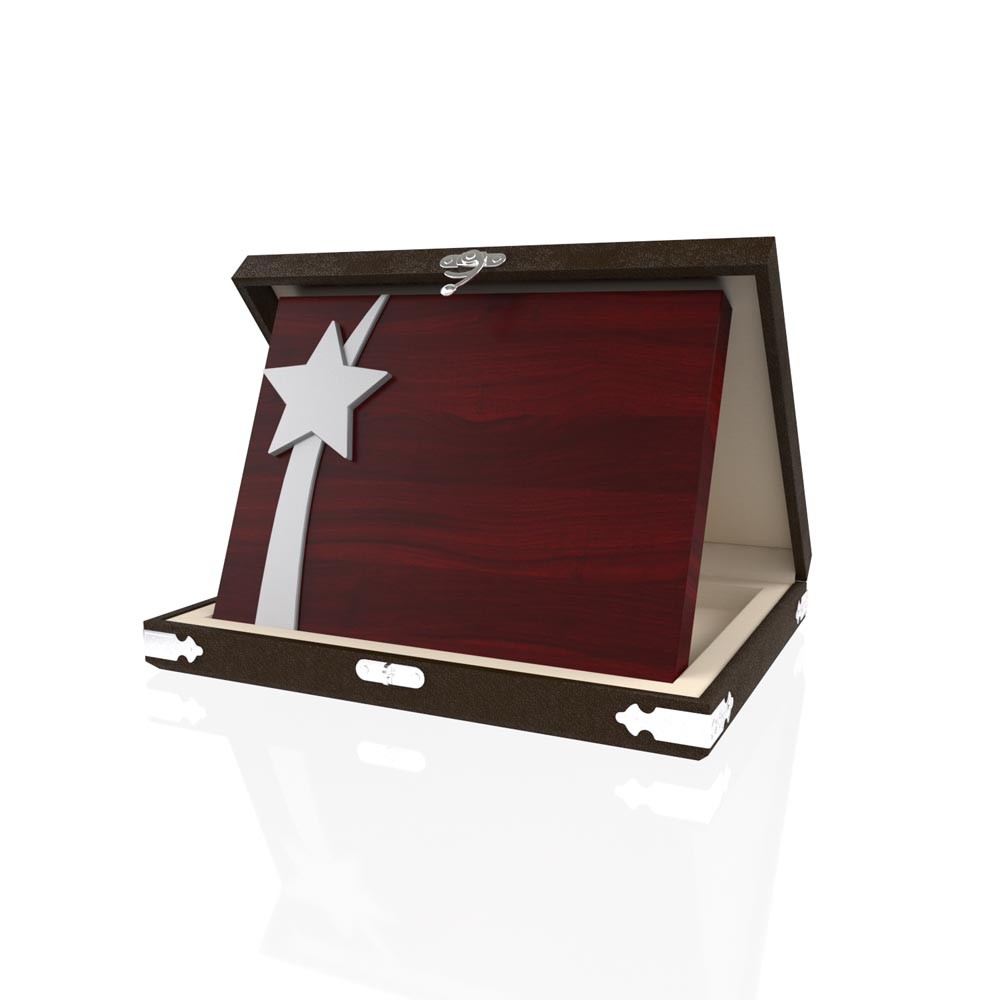 YP 111 Star Plaque