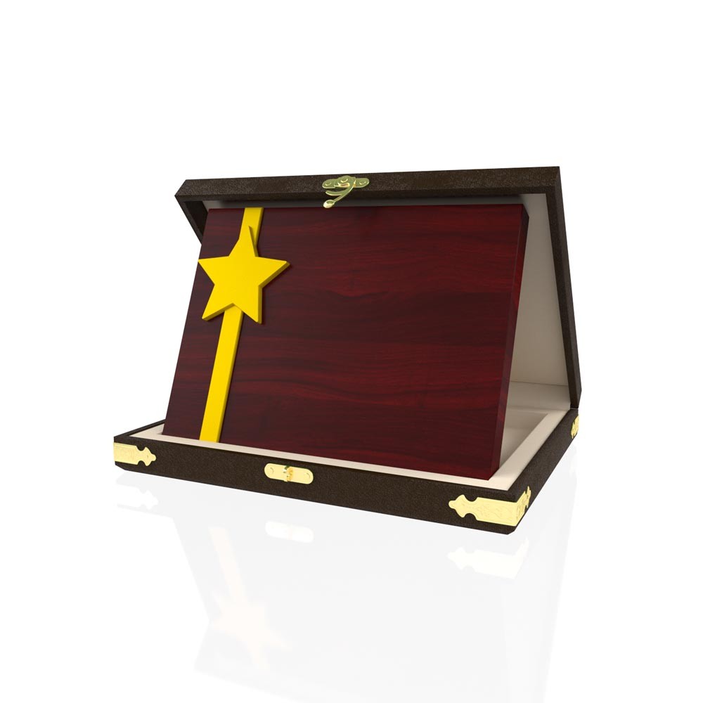 YP 113 Star Plaque