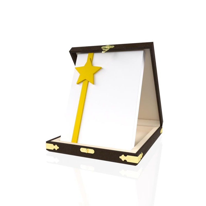 YP 114 Star Plaque