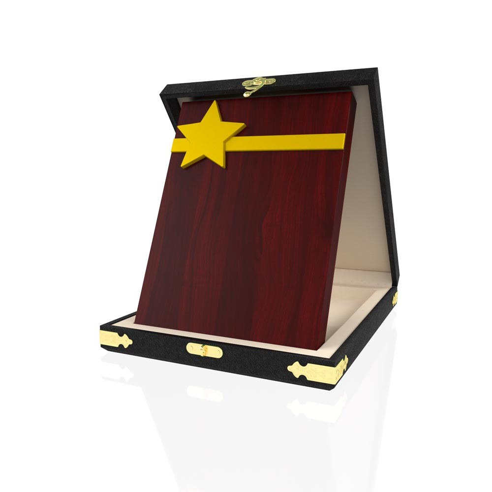 YP 116 Star Plaque 2
