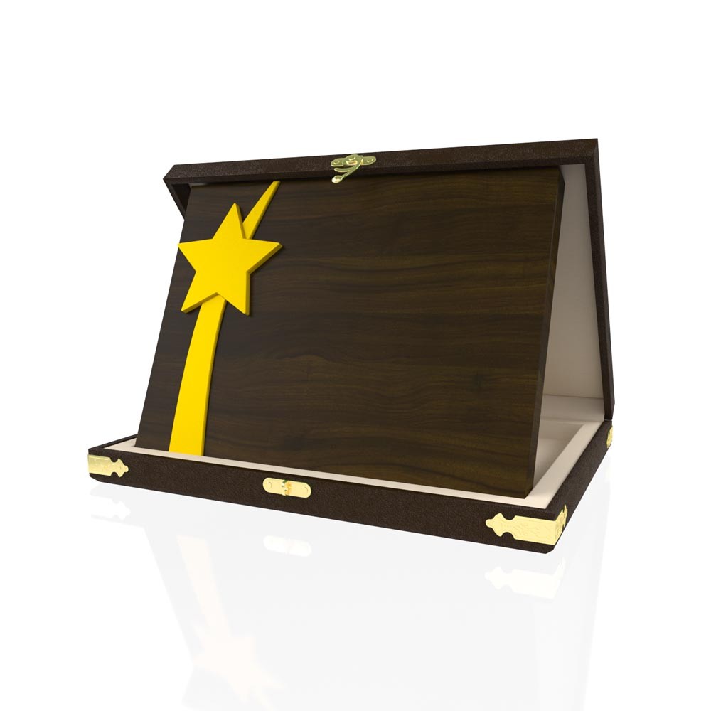 YP 103 Star Plaque 2