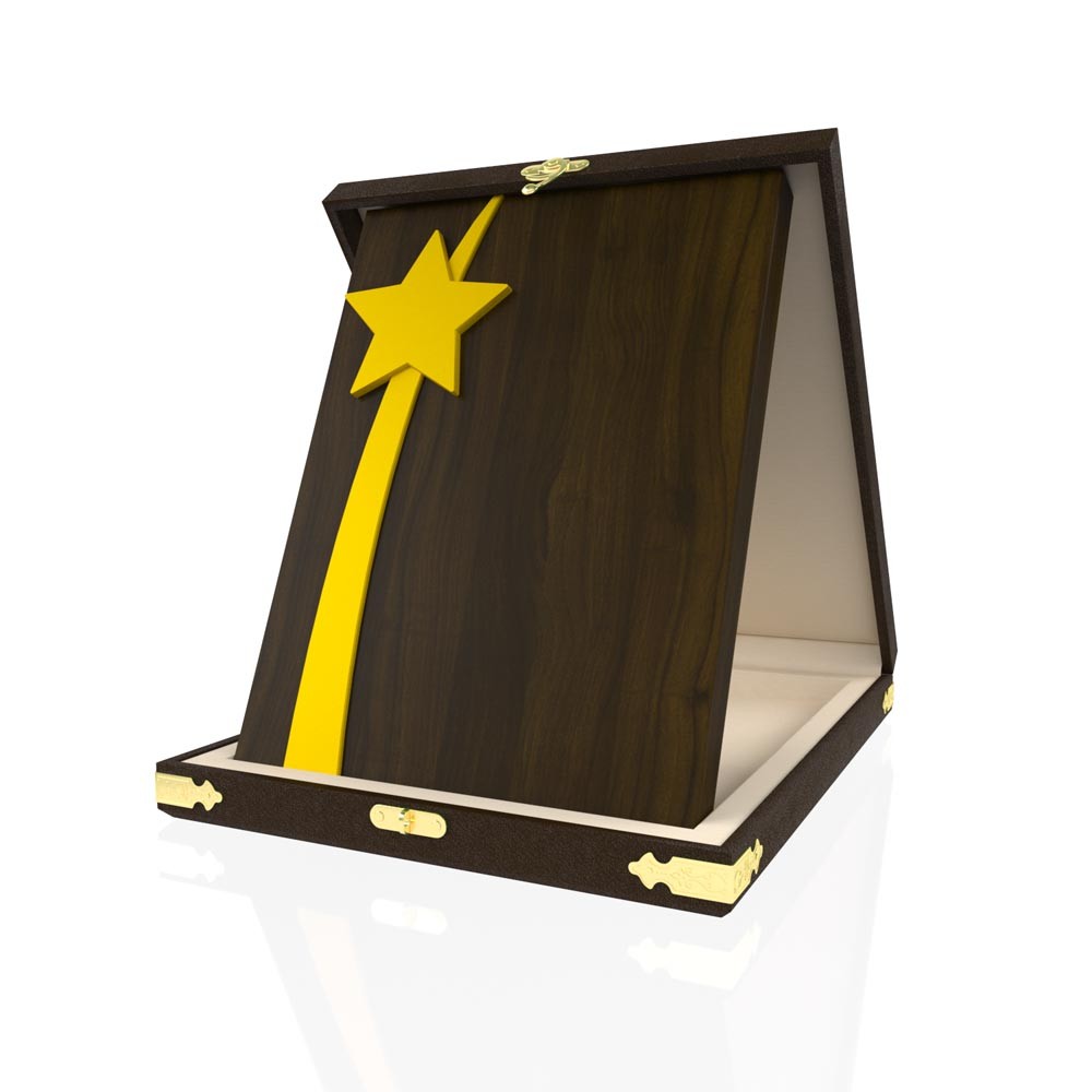 YP 104 Star Plaque 2