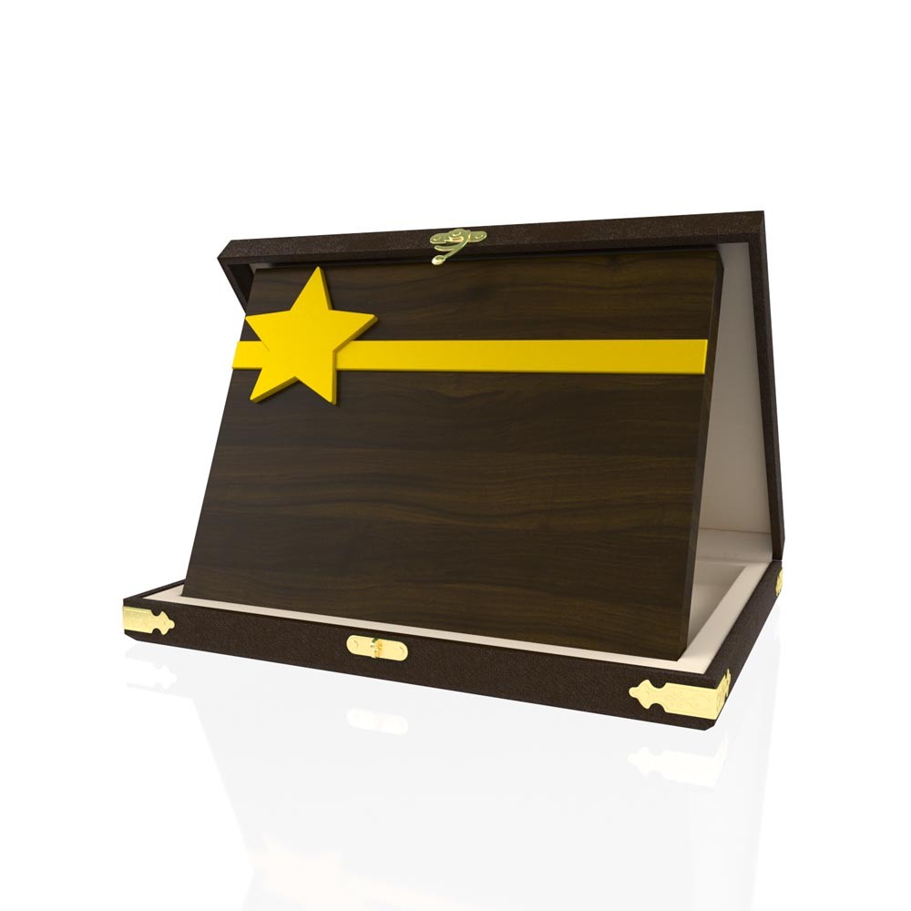 YP 107 Star Plaque 2