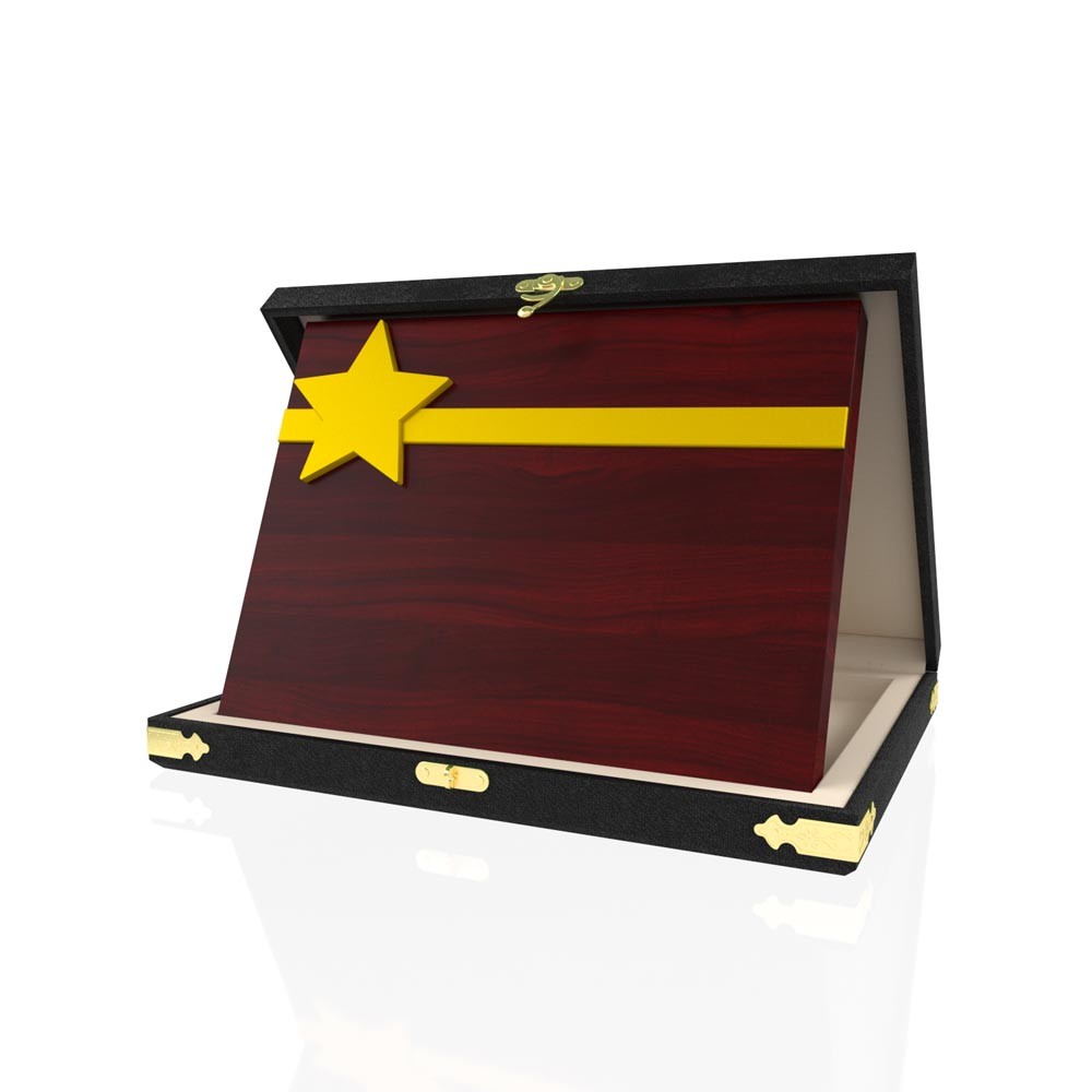 YP 107 Star Plaque