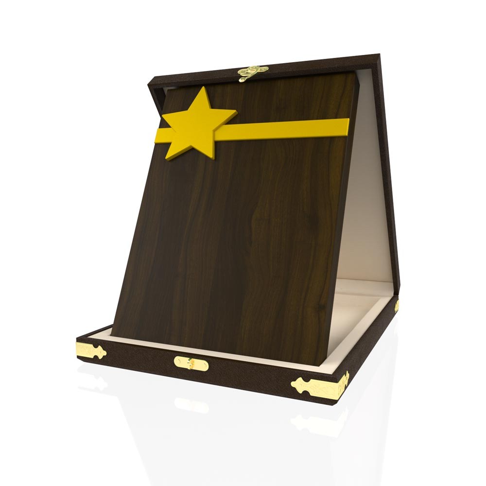 YP 108 Star Plaque 2