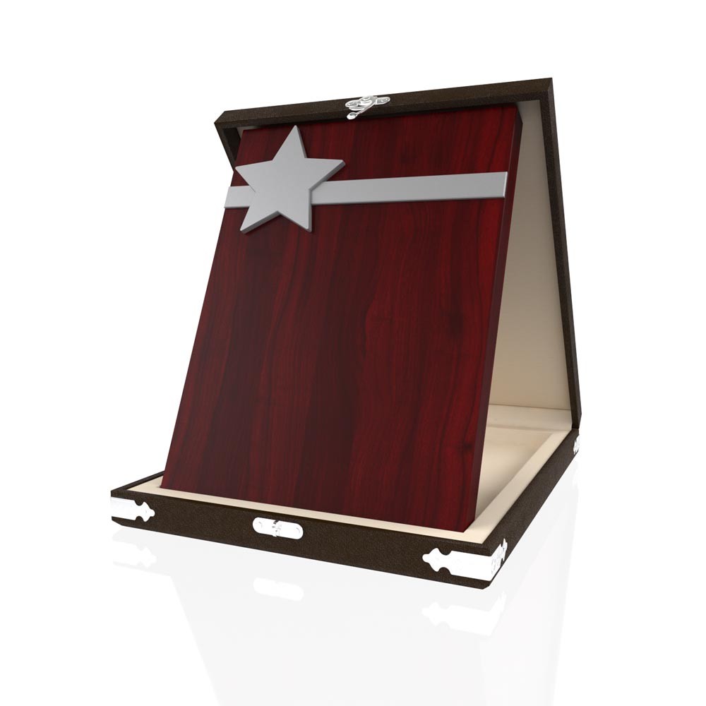 YP 108 Yıldızlı Plaket