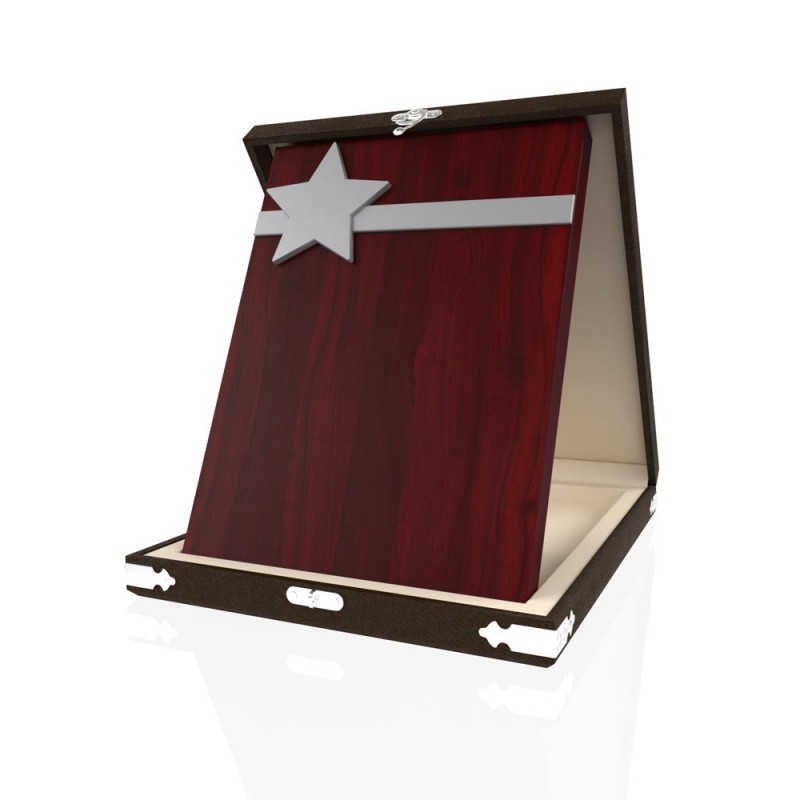 YP 108 Star Plaque