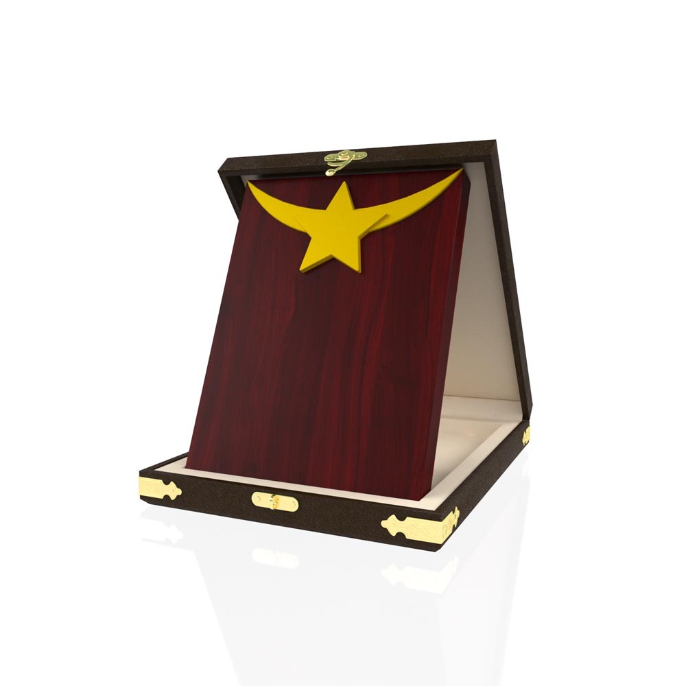 YP 110 Star Plaque